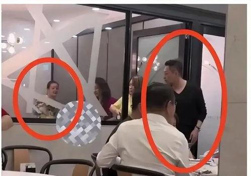 张莹莹最新爆料视频大全,揭秘幕后真相与精彩瞬间  第1张